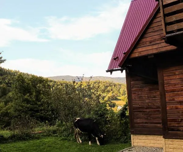 Dağ evi 